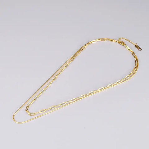 Double Layer Necklace