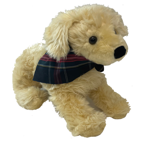 Charli Plush Large