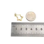 Five Point Star Earrings
