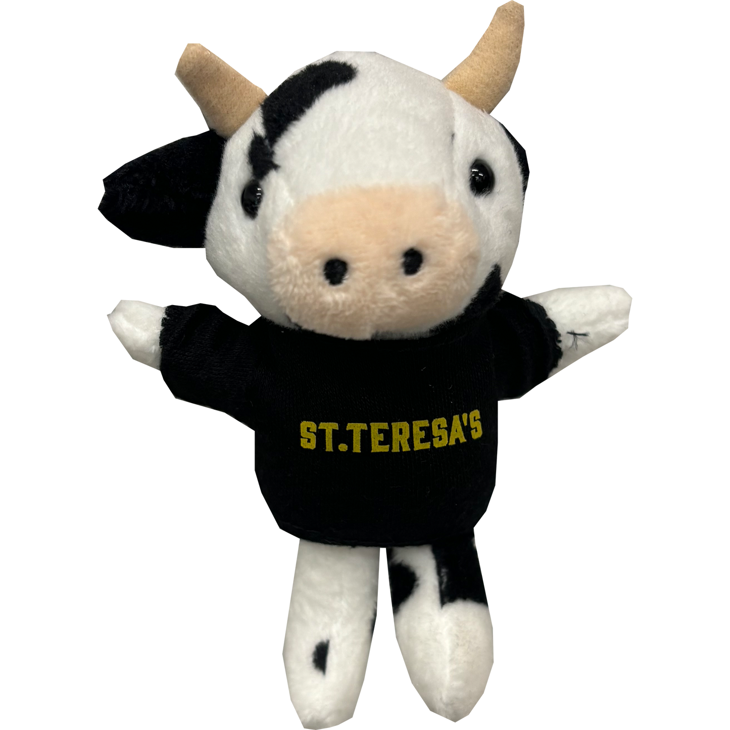 Plush Keychains