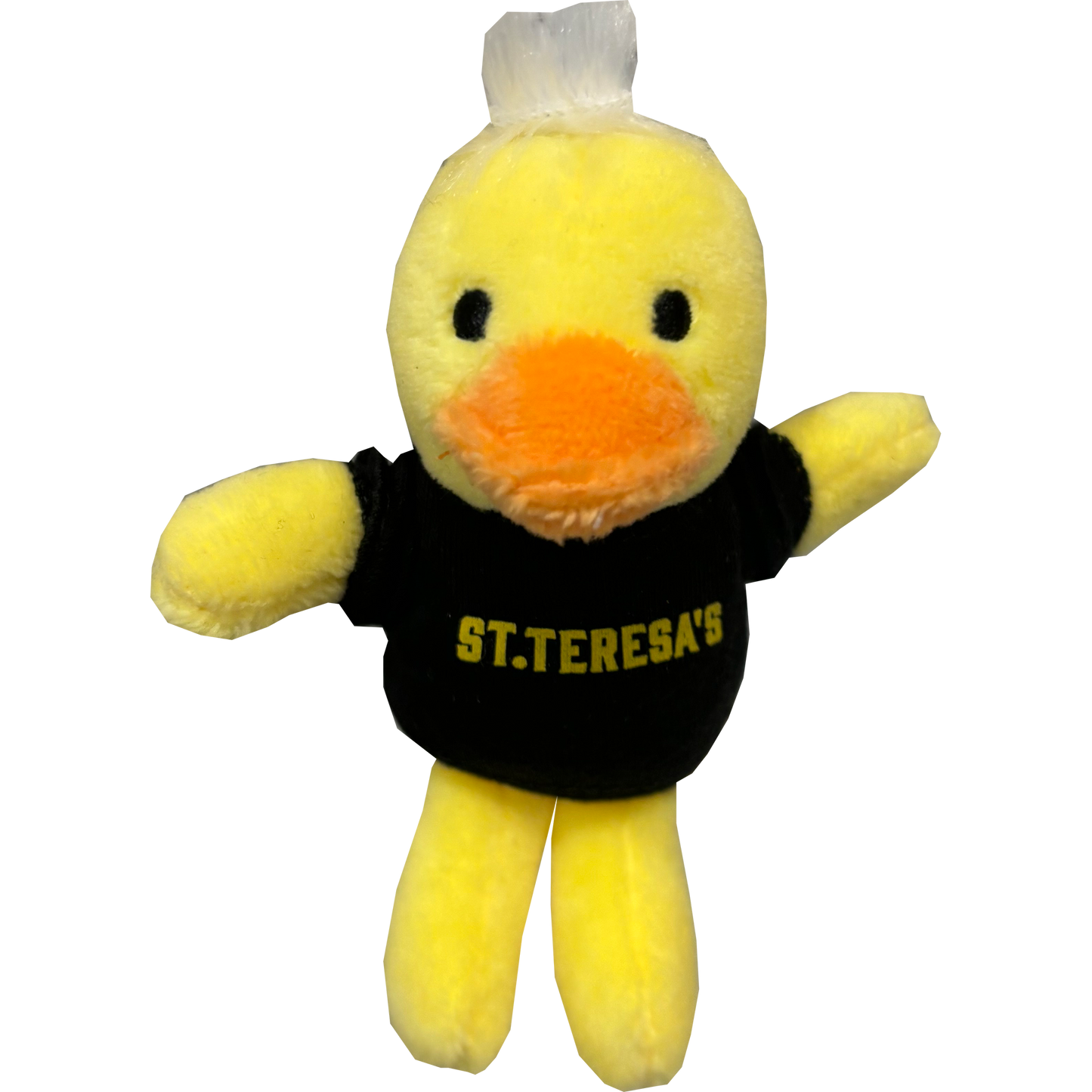 Plush Keychains