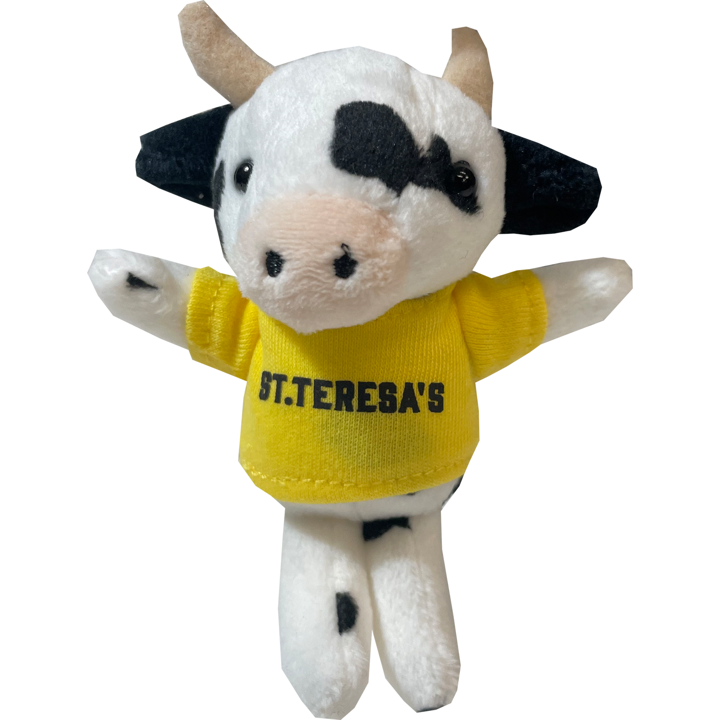 Plush Keychains