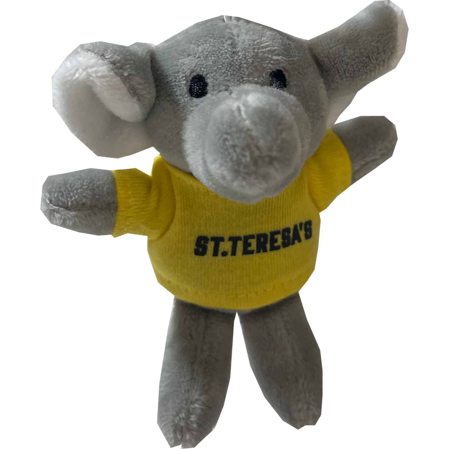 Plush Keychains