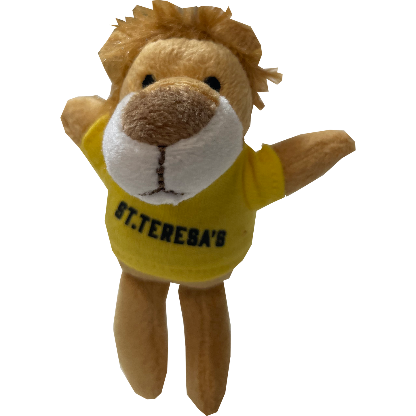 Plush Keychains
