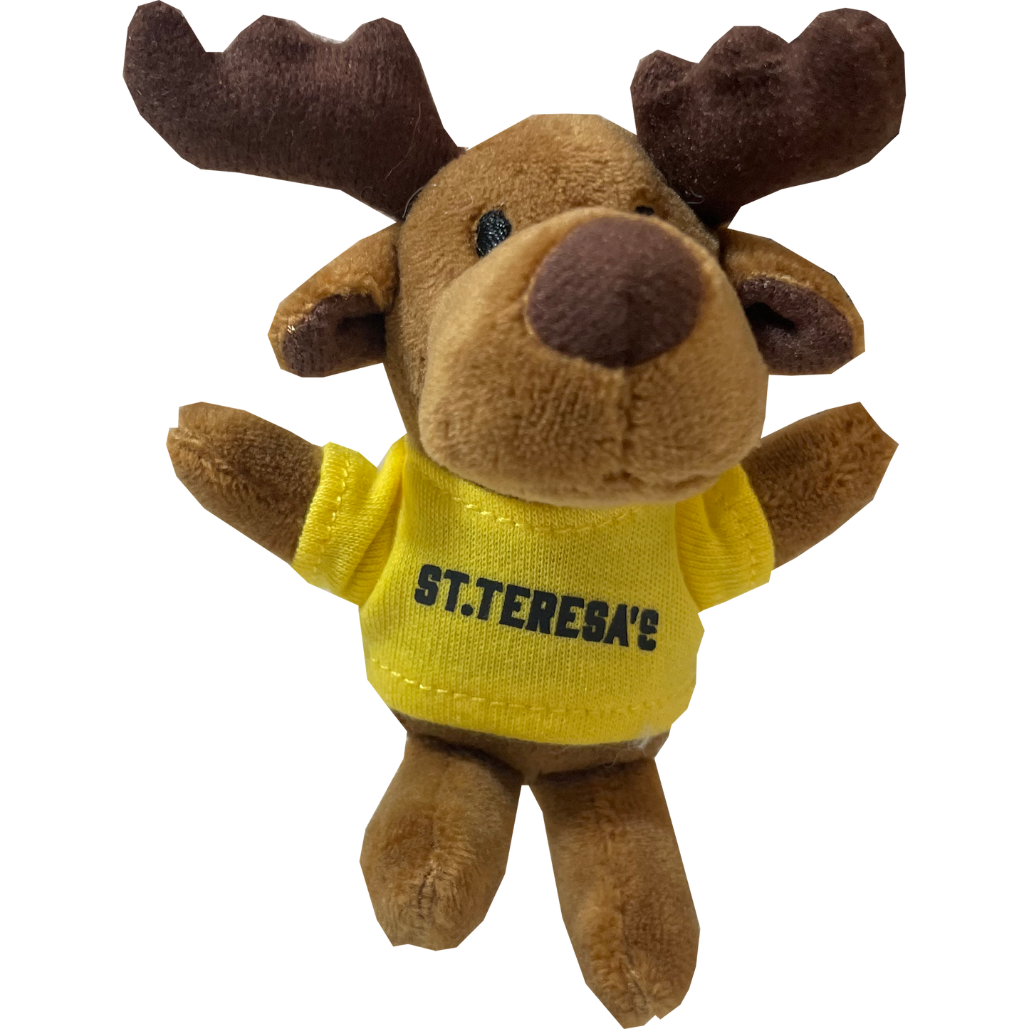 Plush Keychains